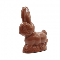 Lapin jardin