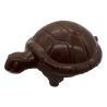 Tortue