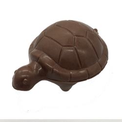 Tortue