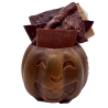 Citrouille Petit Modèle