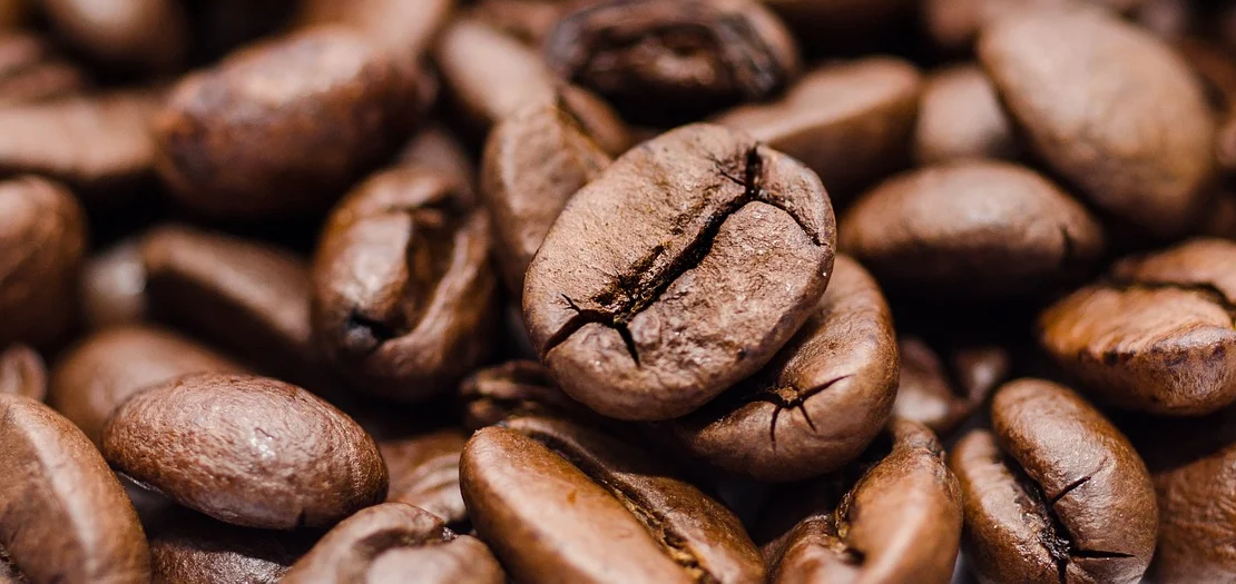 Cafés (grains, dosettes, capsules)